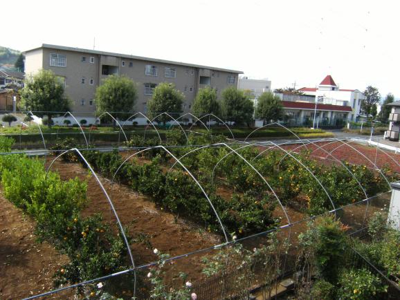 同一建物1階別部屋からの眺望
